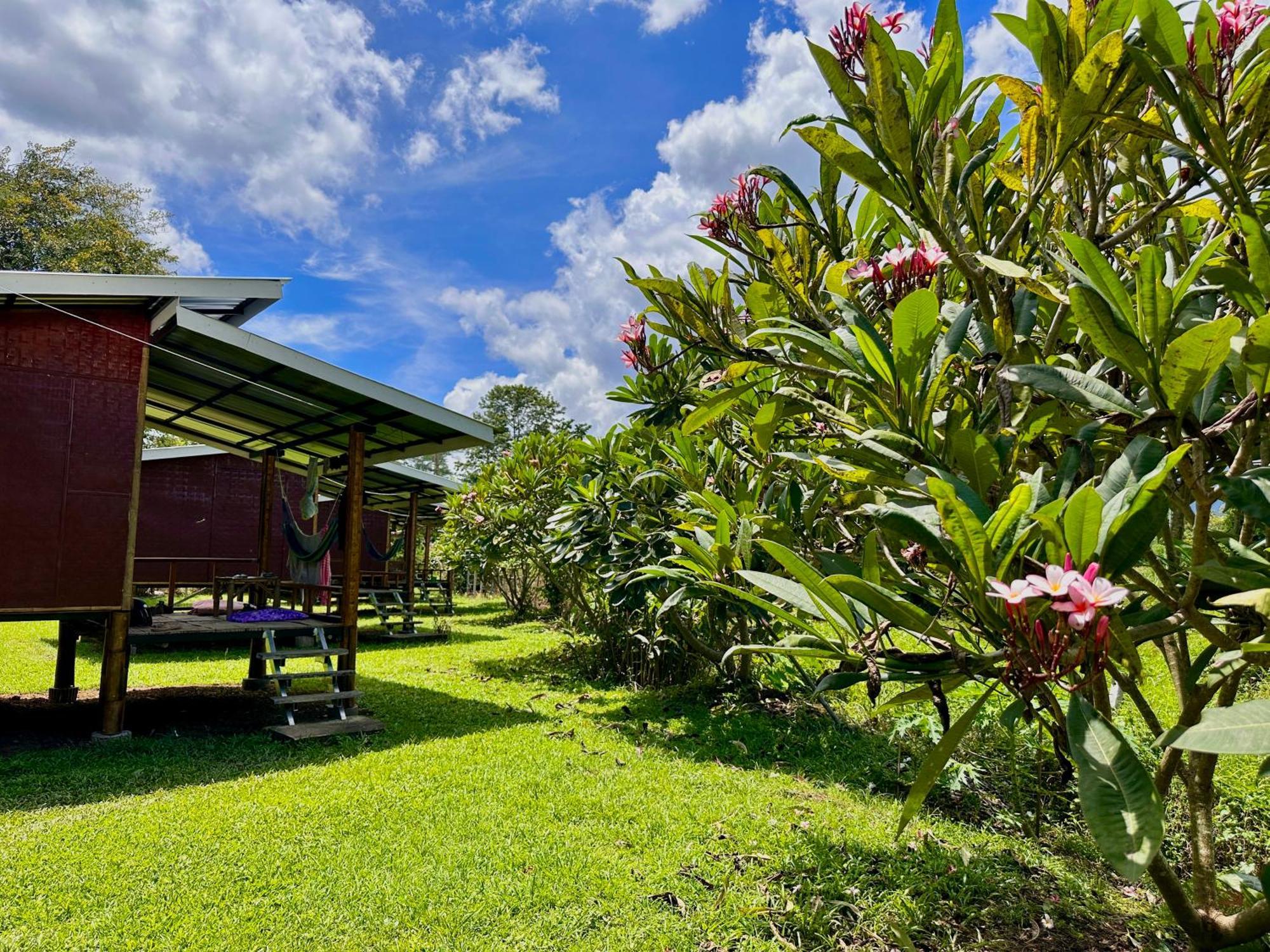 Twin Hut Hotell Pai Exteriör bild