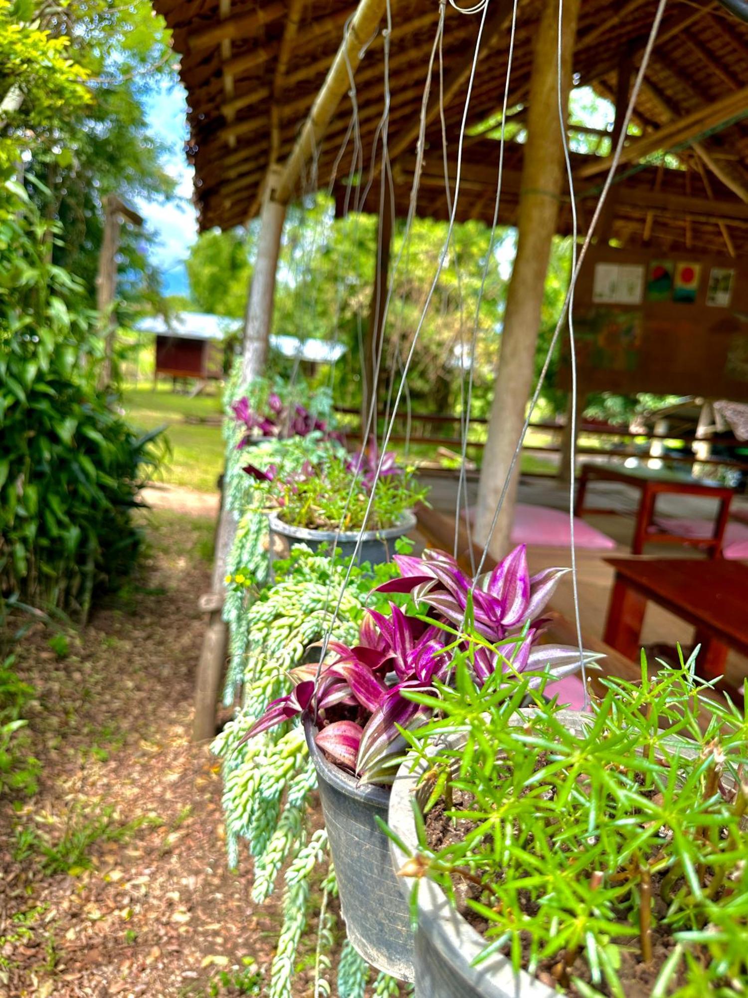 Twin Hut Hotell Pai Exteriör bild